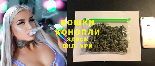 сатива Арсеньев