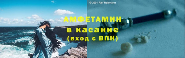 сатива Арсеньев