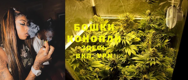 сатива Арсеньев