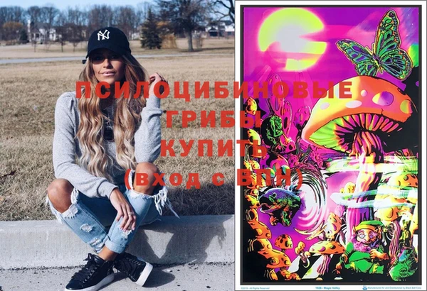сатива Арсеньев