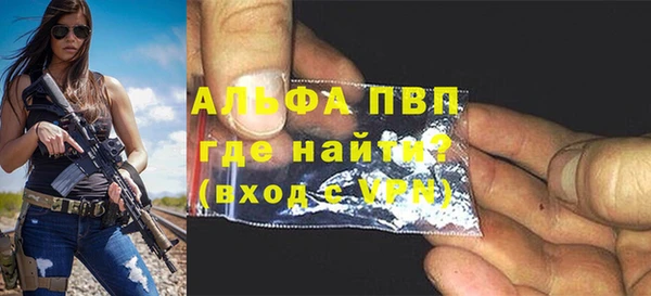 сатива Арсеньев
