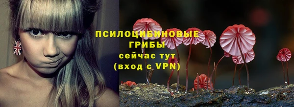 сатива Арсеньев