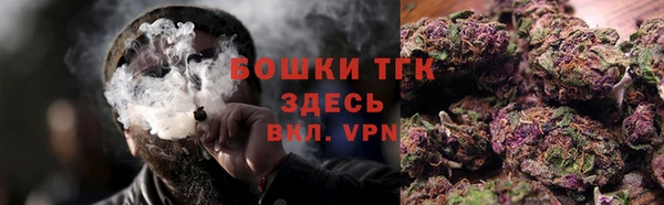 сатива Арсеньев